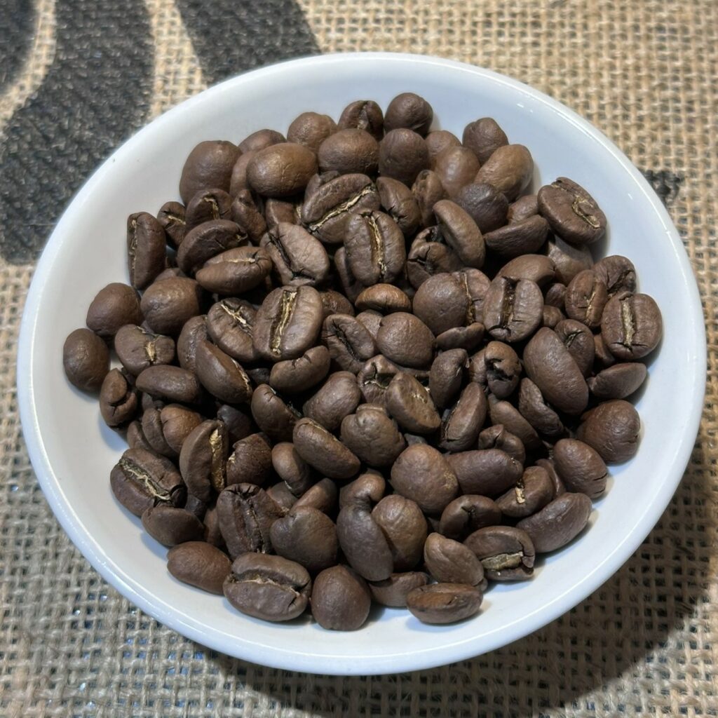 rueckseite-2