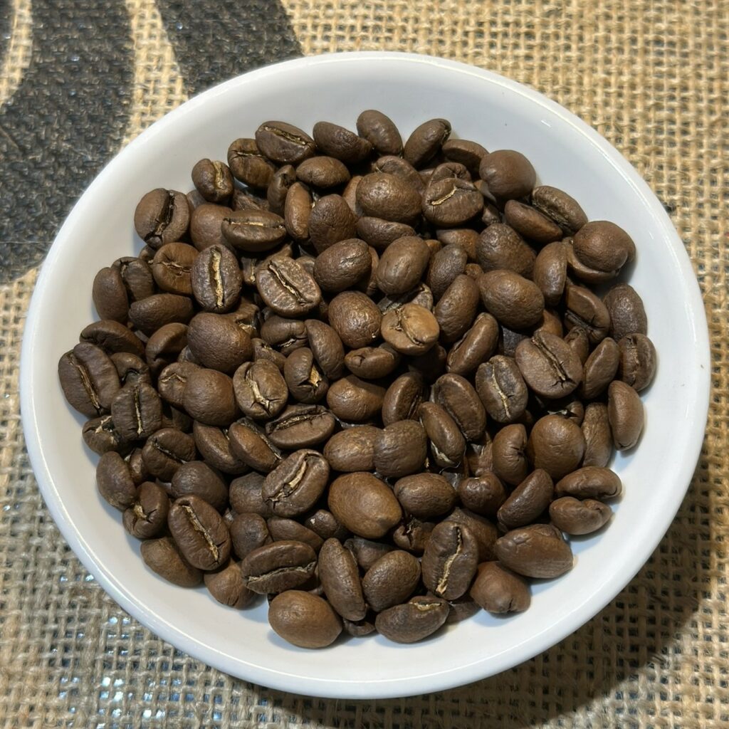 rueckseite-2