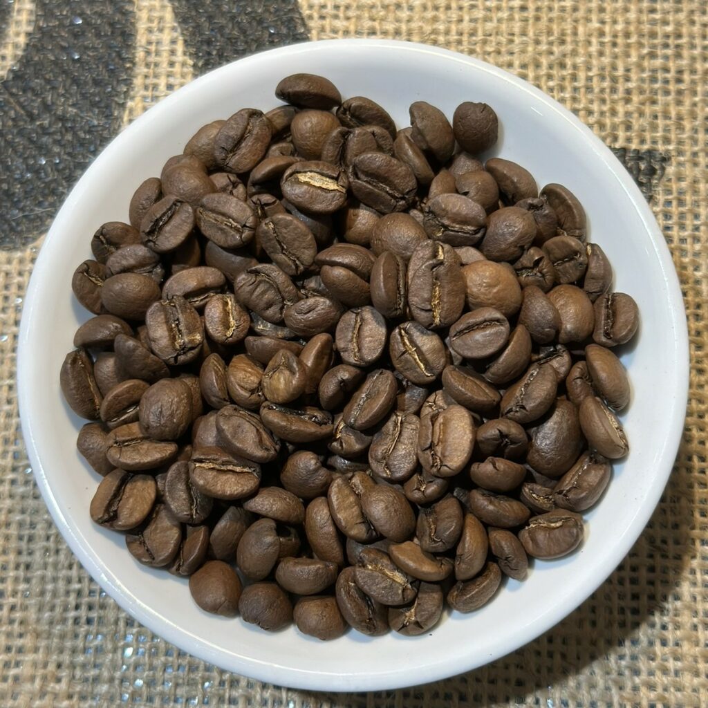 rueckseite-2