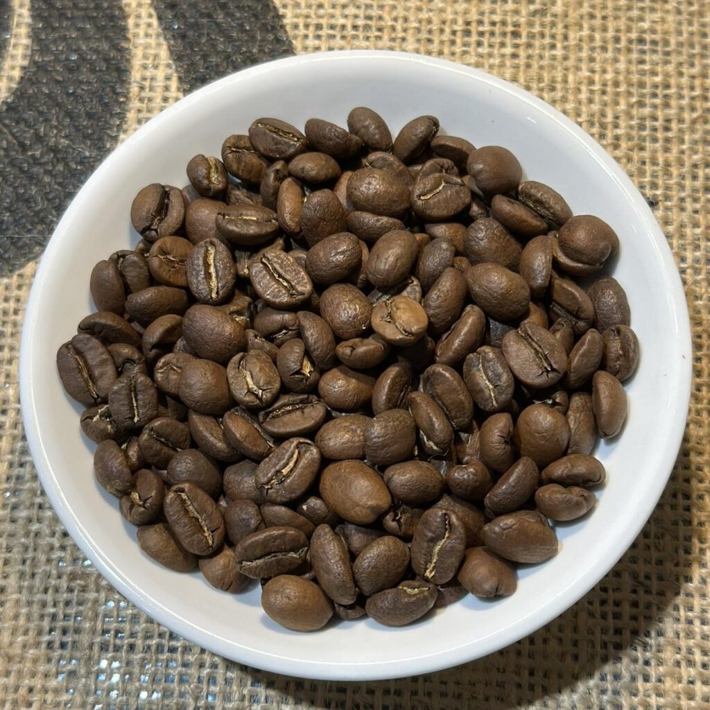 rueckseite-2